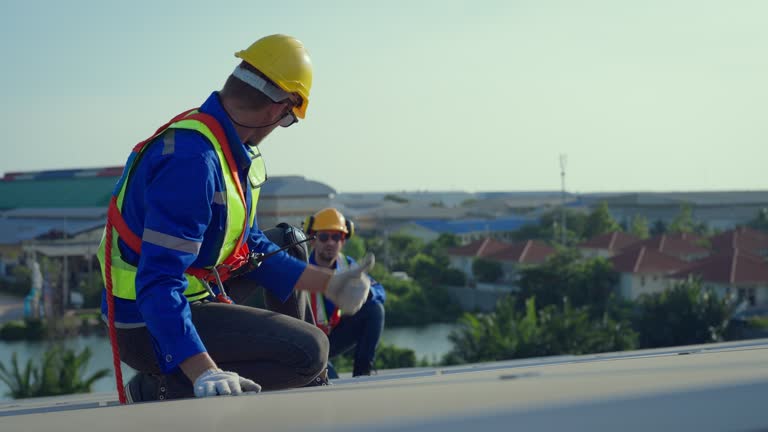 Best Roof Insulation Installation  in Rmel Valley Village, CA